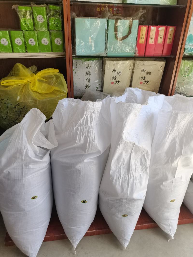 午子绿茶(午子绿茶段艳)