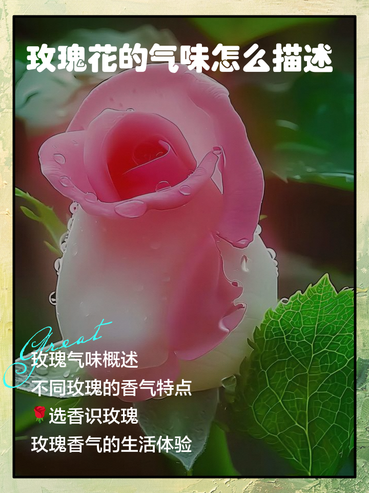 玫瑰花性寒还是性温(肝火太旺能喝玫瑰花吗)