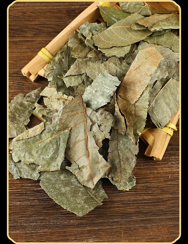 金钱柳茶叶的功效和作用(金钱柳茶叶的功效和作用图片)