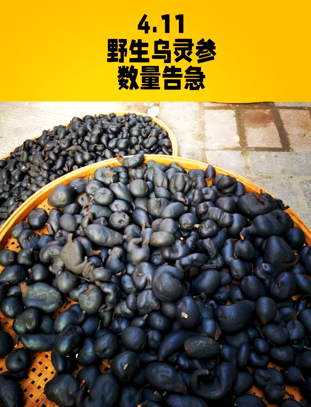 乌灵参多少钱一斤(沉水乌灵参多少钱一斤)