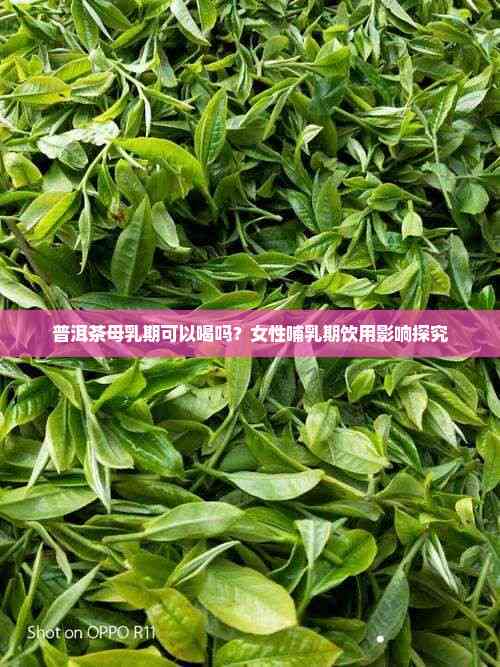 哺乳期可以喝普洱茶吗(哺乳期能不能喝普洱茶?)
