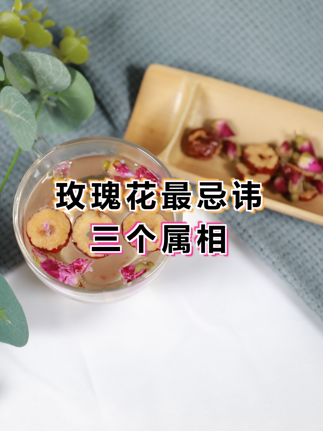 玫瑰花是热性还是凉性(玫瑰花是属于凉性还是热性)