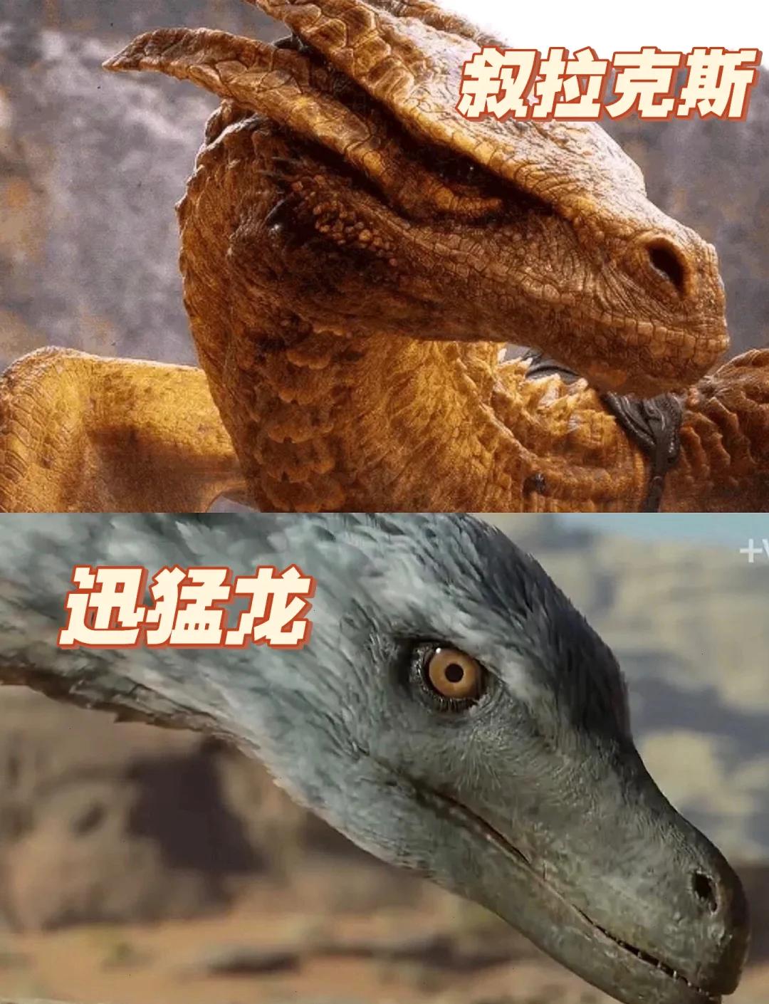 超级巨龙进化(超级巨龙进化无广告免费观看)