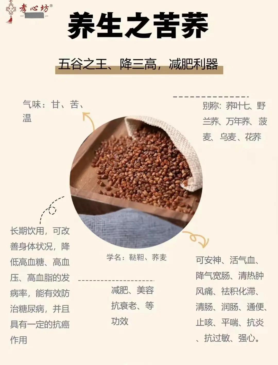 苦荞茶的副作用和危害有哪些(苦荞茶的副作用和危害有哪些呢)