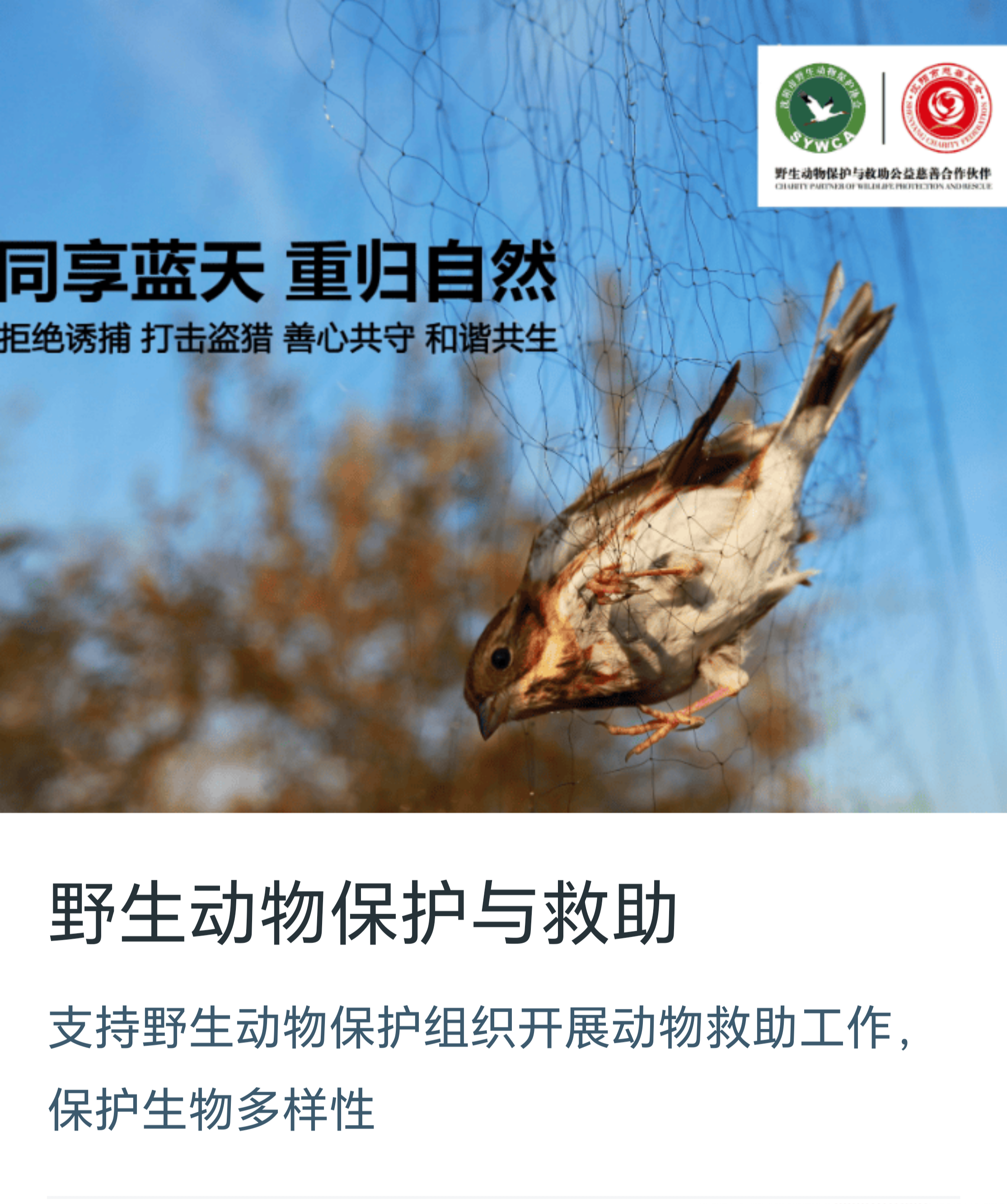 驯服的意思是什么(驯服是褒义词还是贬义词)
