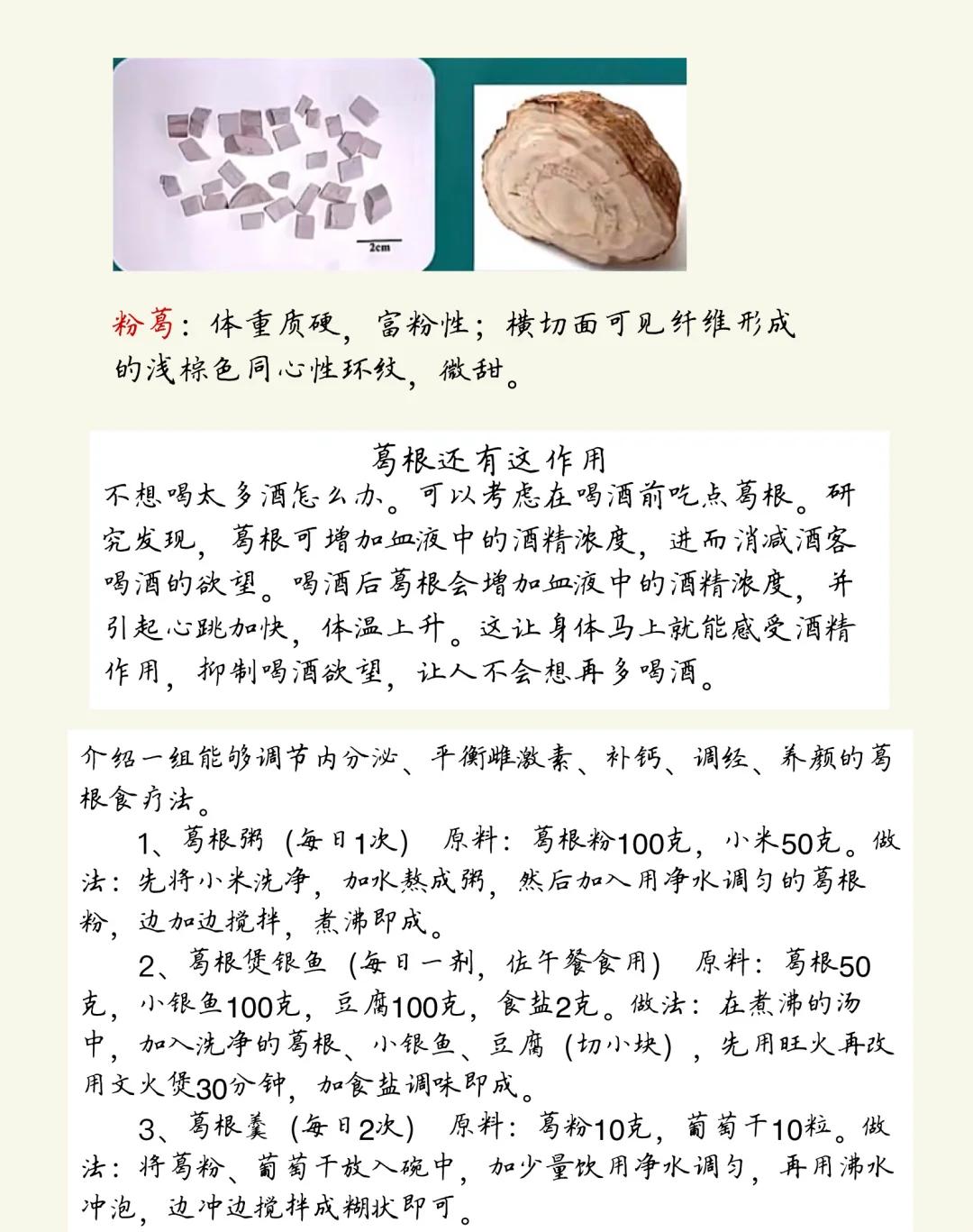 葛根为什么致癌(葛根为什么致癌率高)
