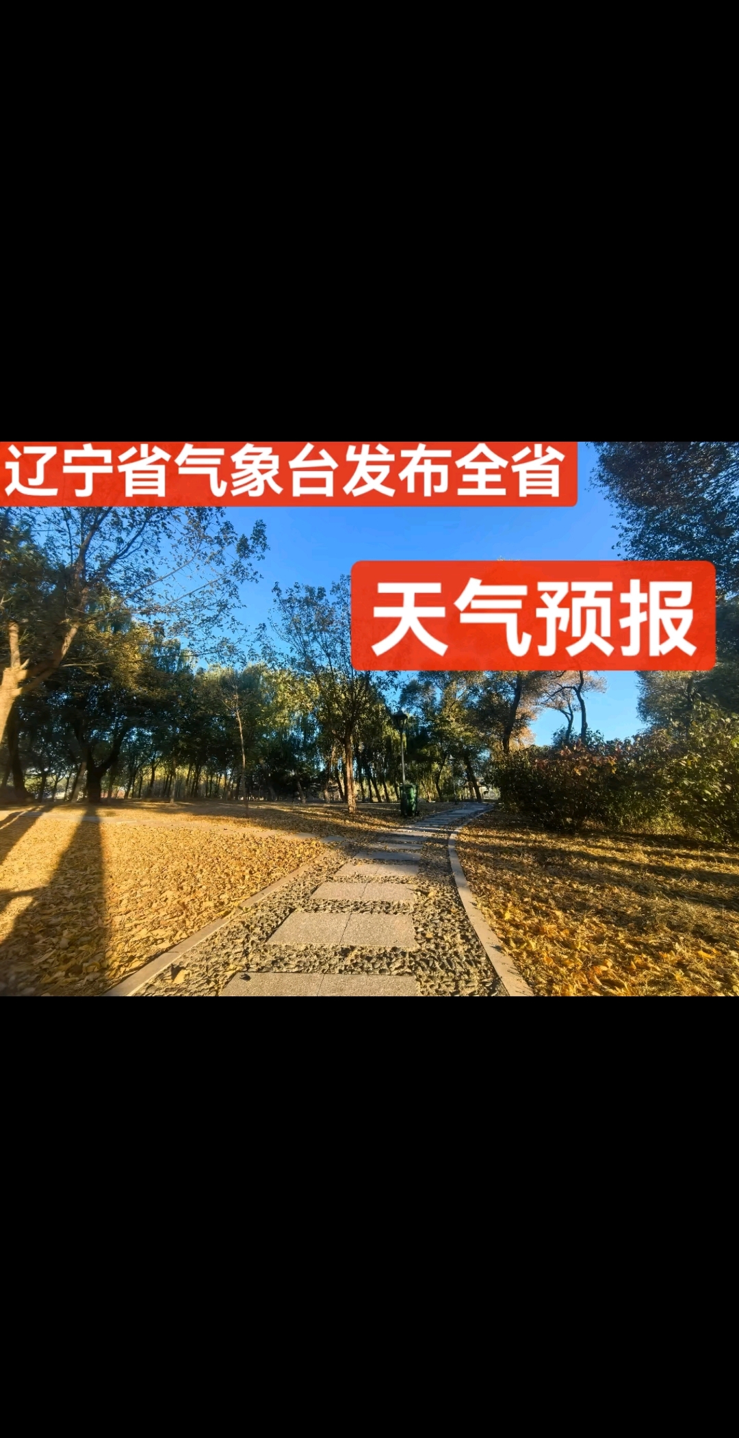 大连30天天气预报(大连30天天气预报最新消息)