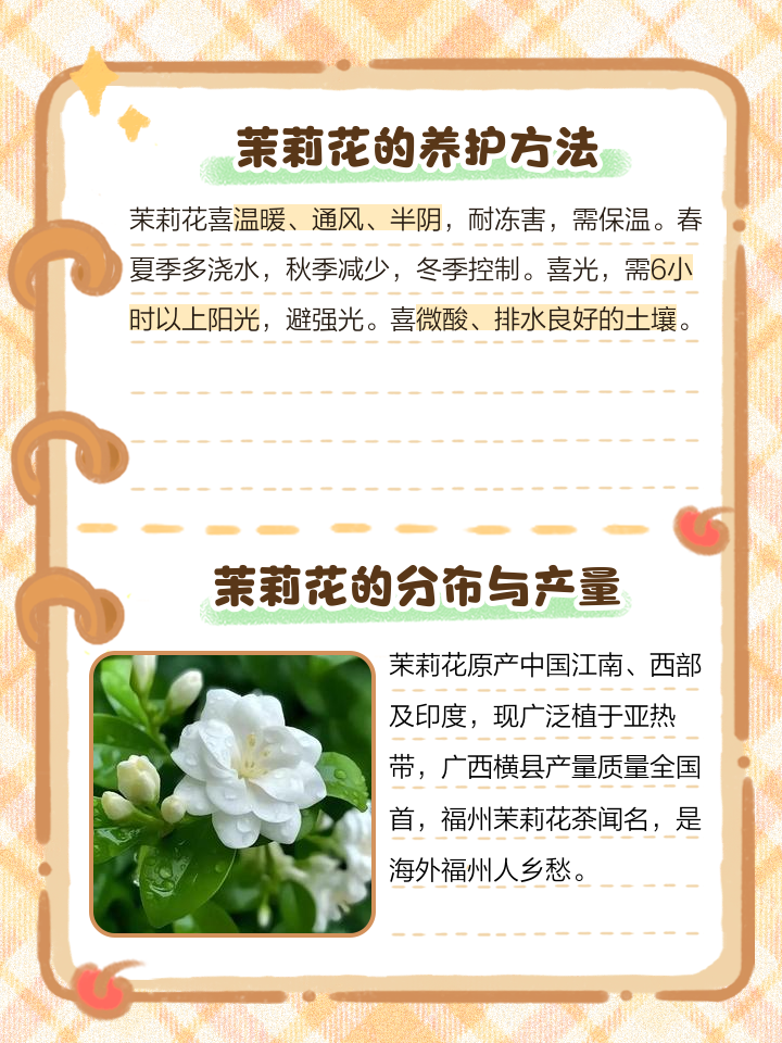 茉莉花是凉性还是温性的(茉莉花是凉性还是温性的?)