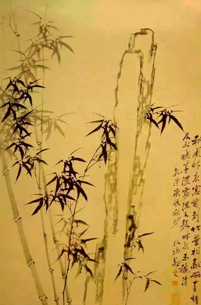 郑板桥竹子(郑板桥竹子是什么品种)