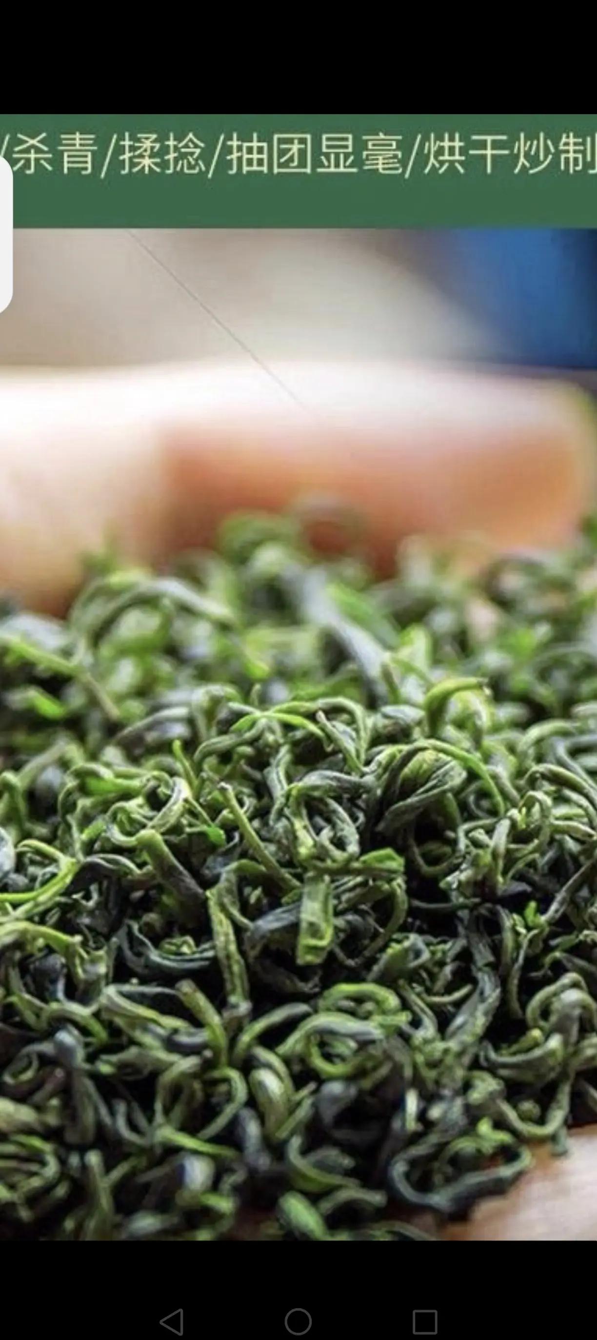 日照绿茶价格(日照绿茶价格表) 日照绿茶价格(日照绿茶价格表)