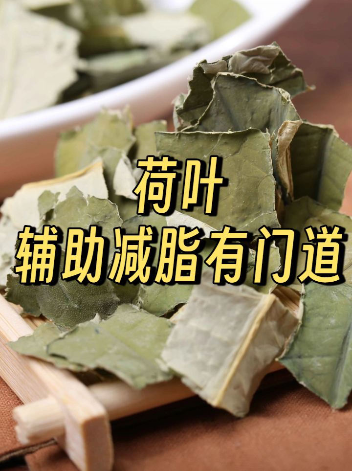 荷叶减肥茶配方(荷叶减肥茶配方大全)