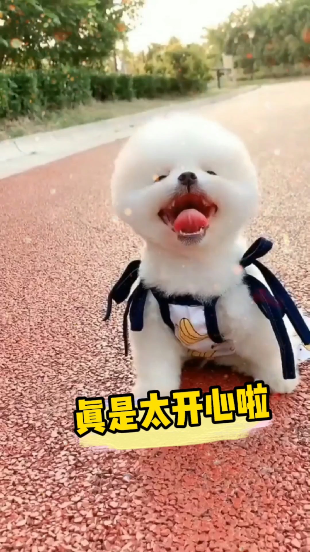 宝贝乖乖让我宠(宝贝乖乖让我宠于诺TXT下载)