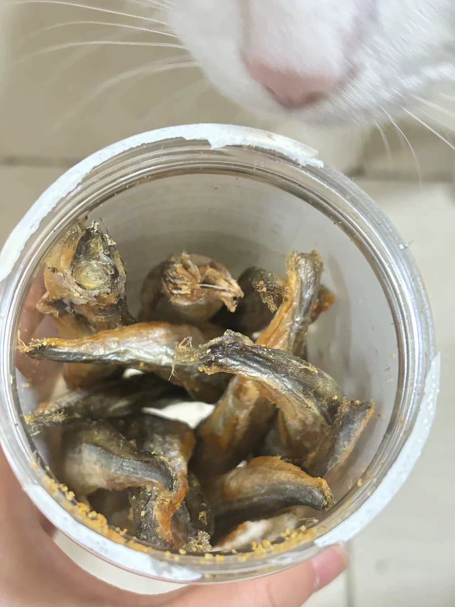 多春鱼的危害(多春鱼的营养价值和食用禁忌)