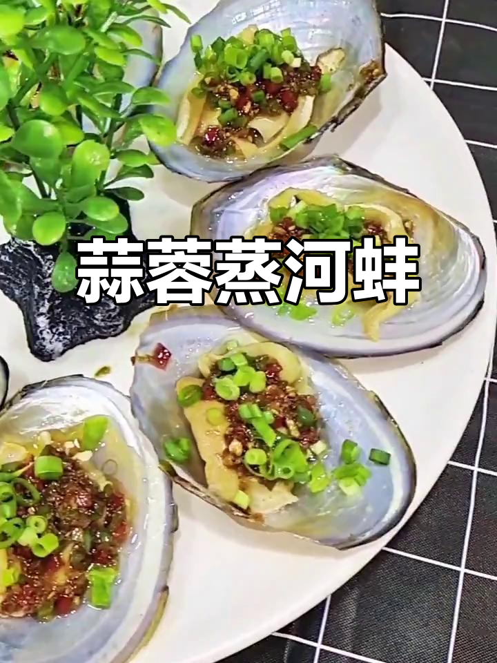 河蚌吃什么(河蚌吃什么能在鱼缸里养吗)