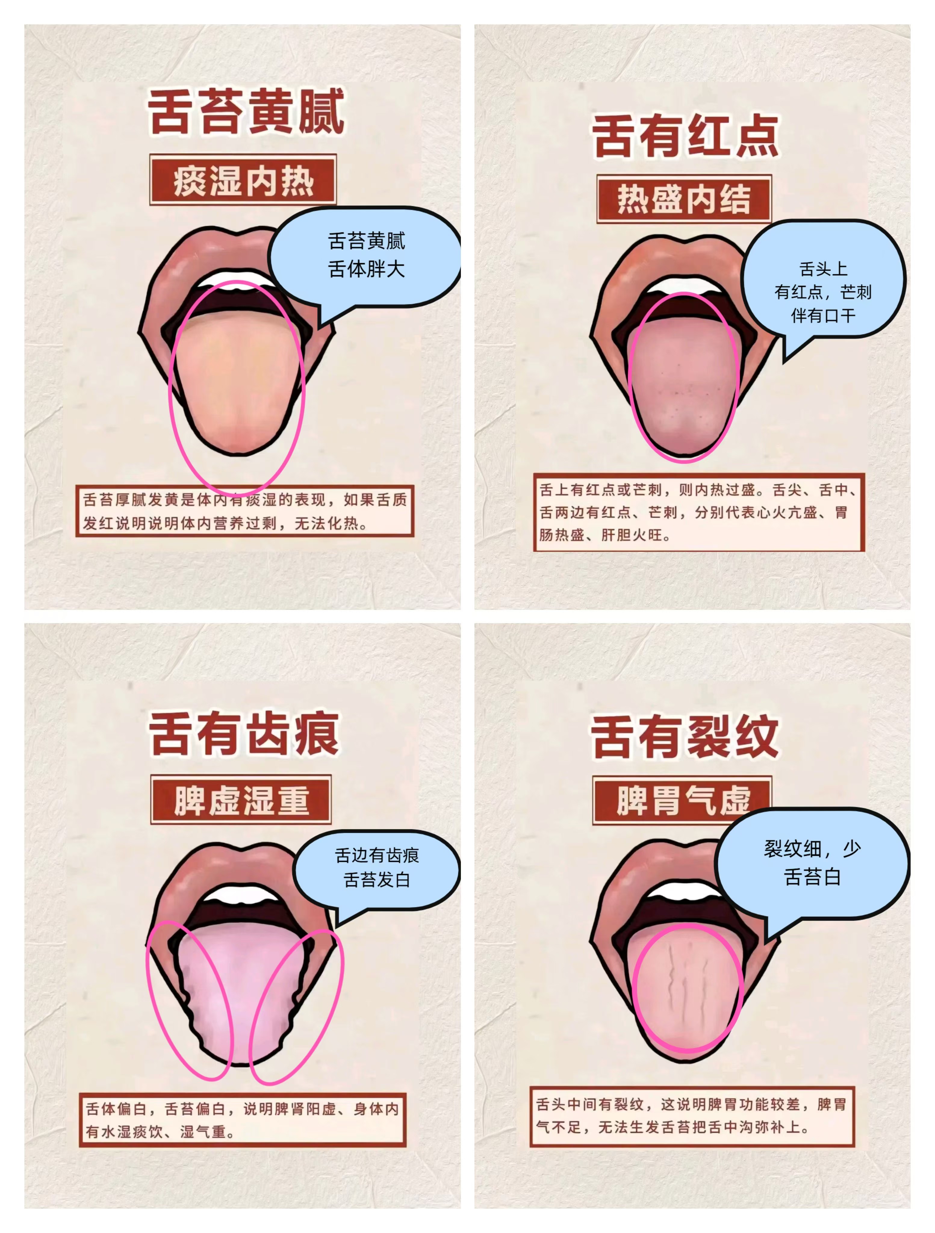巧舌如簧的意思(巧舌如簧的意思是什么?)