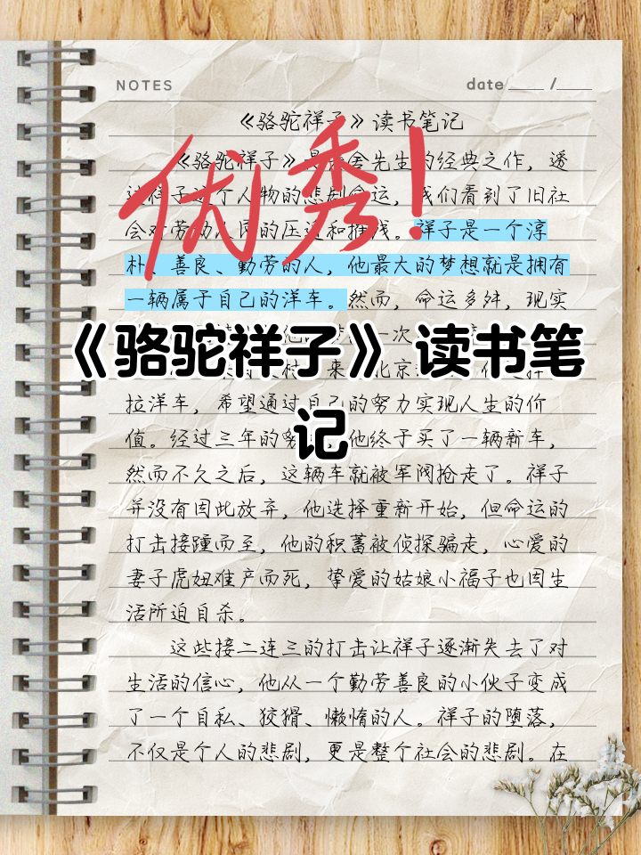 骆驼祥子全文(骆驼祥子全文多少字)