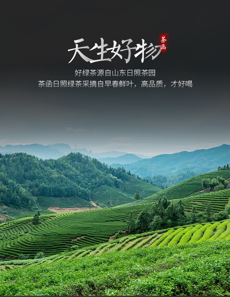 日照绿茶哪个牌子好(日照绿茶哪个牌子好一点)