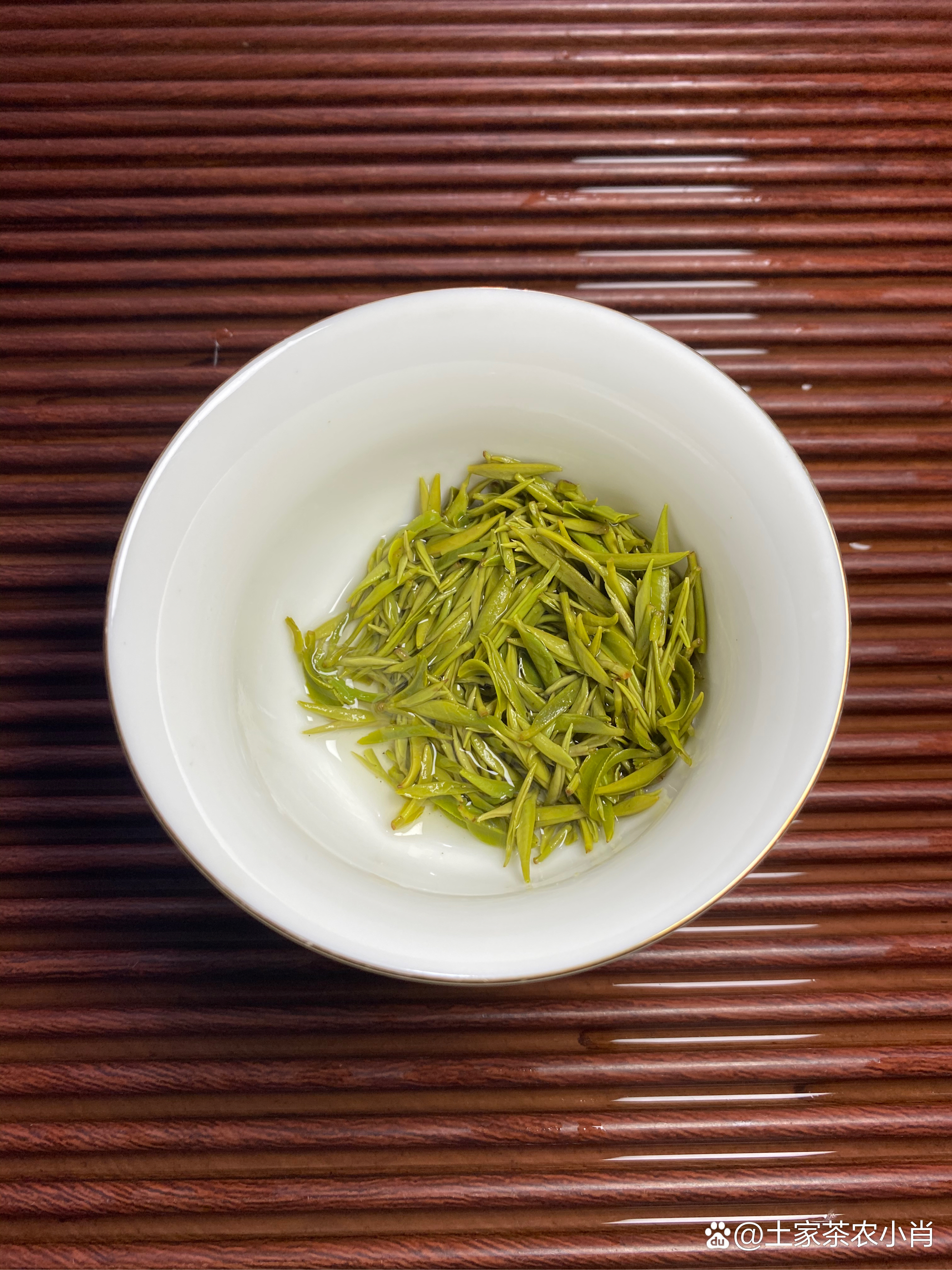 新茶(新茶什么时候上市?)