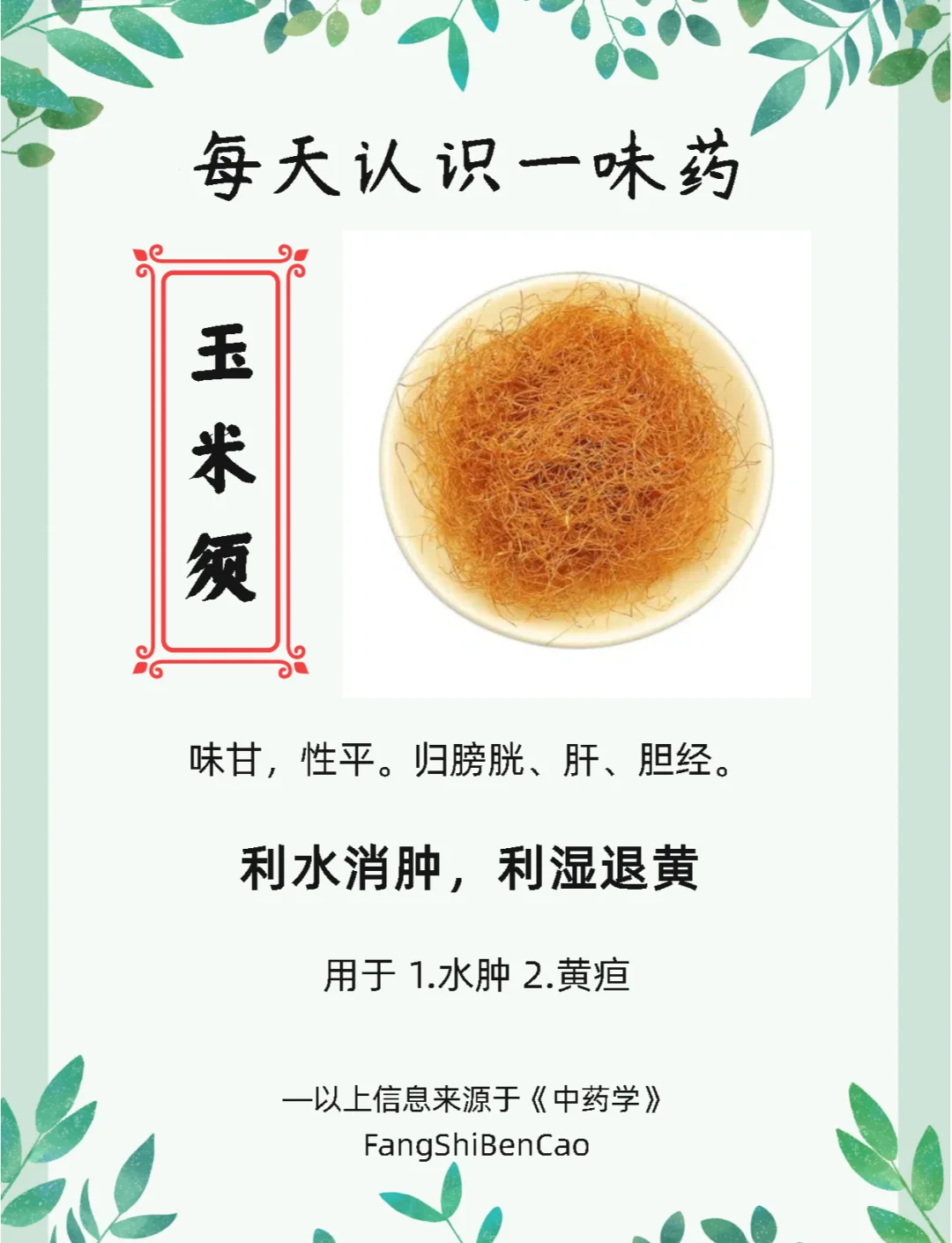 玉米茶的功效与作用(玉米茶的功效与作用是什么)