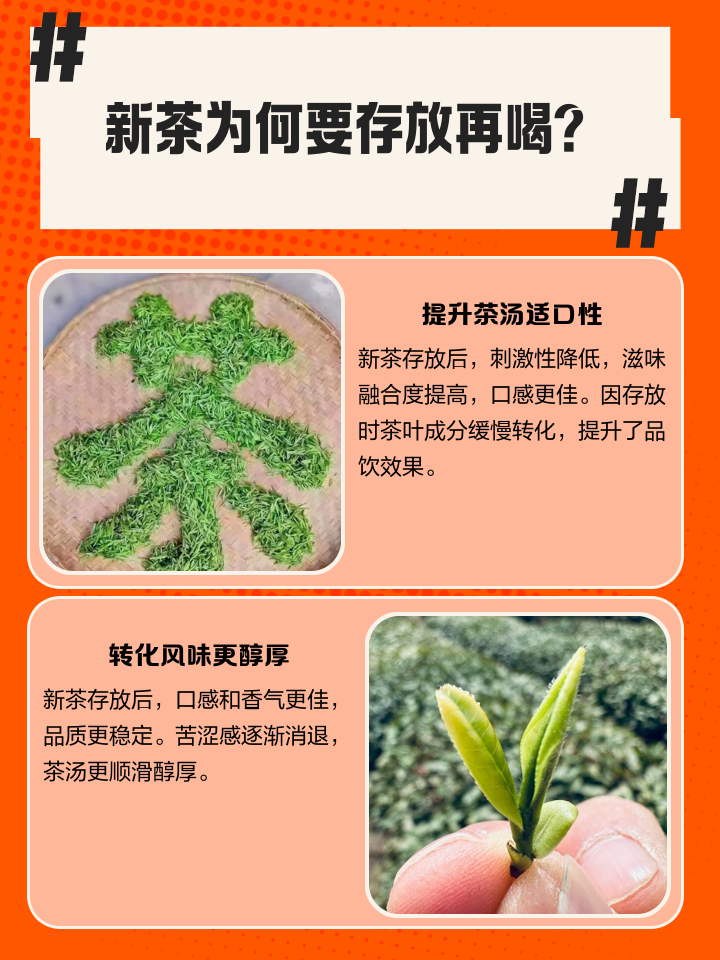 新茶要放多久才能喝(新茶需要放置多久口感更佳) 新茶要放多久才能喝(新茶需要放置多久口感更佳)