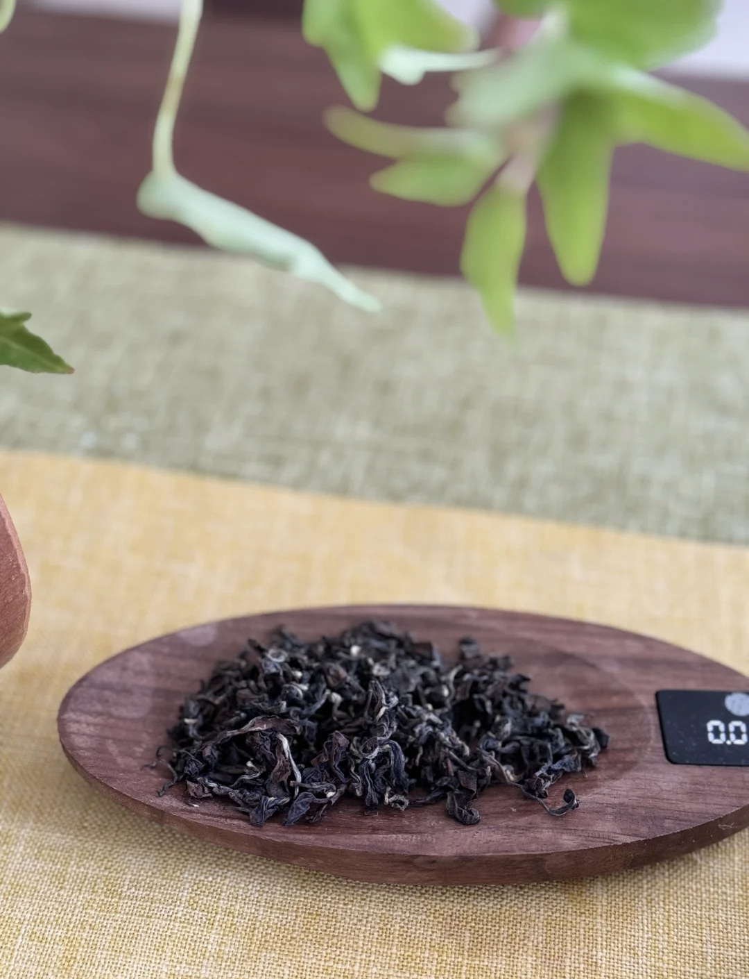 东方美人茶的特点(东方美人茶特点描写)