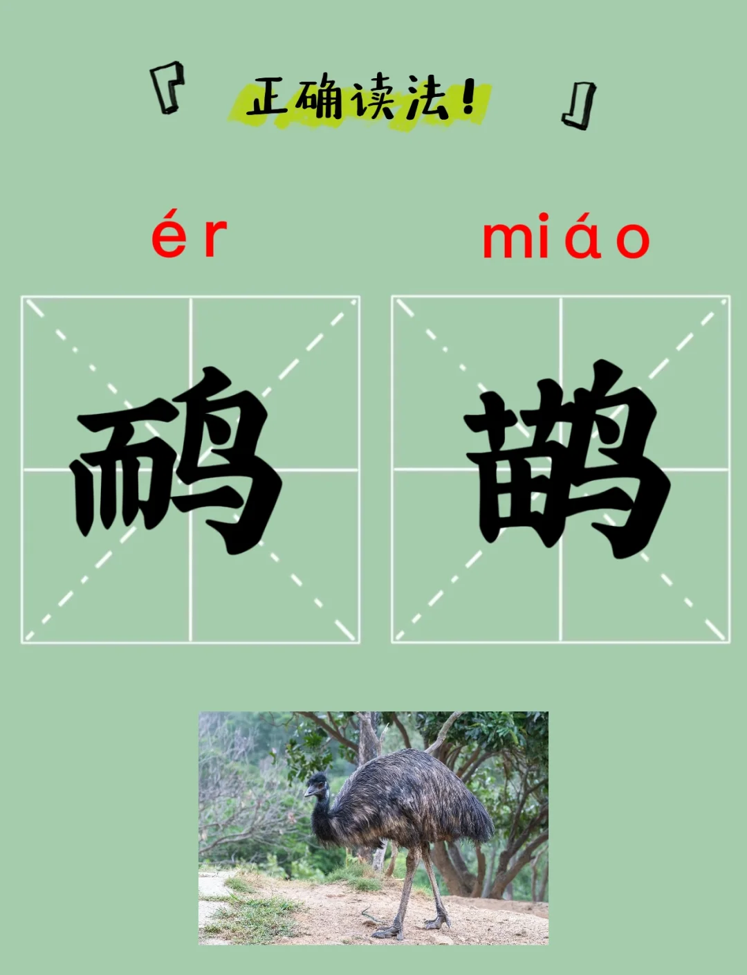 劓怎么读(劓刖怎么读)
