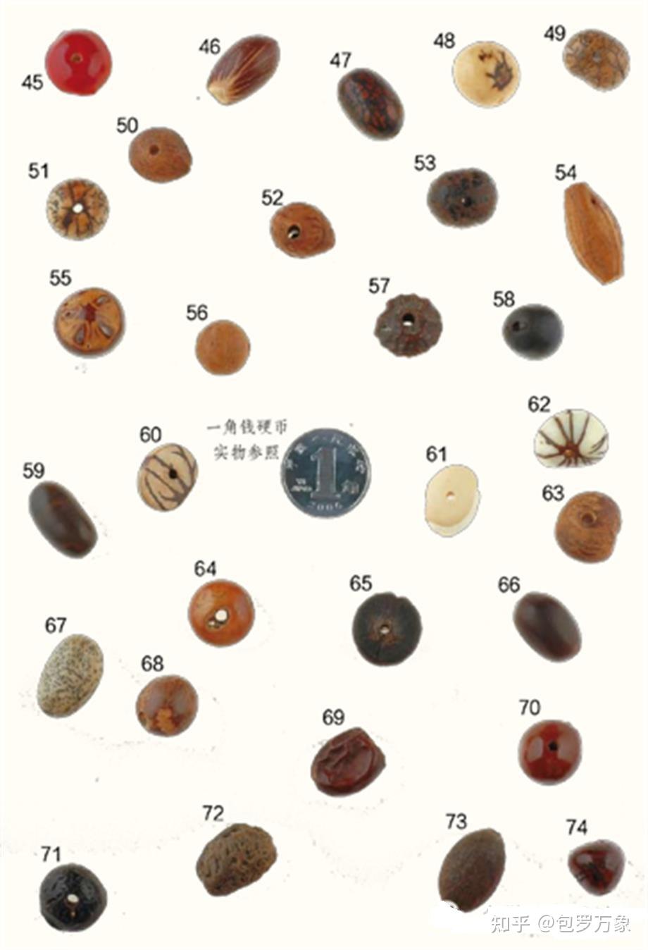 70种菩提子大全(菩提子的种类及价格)