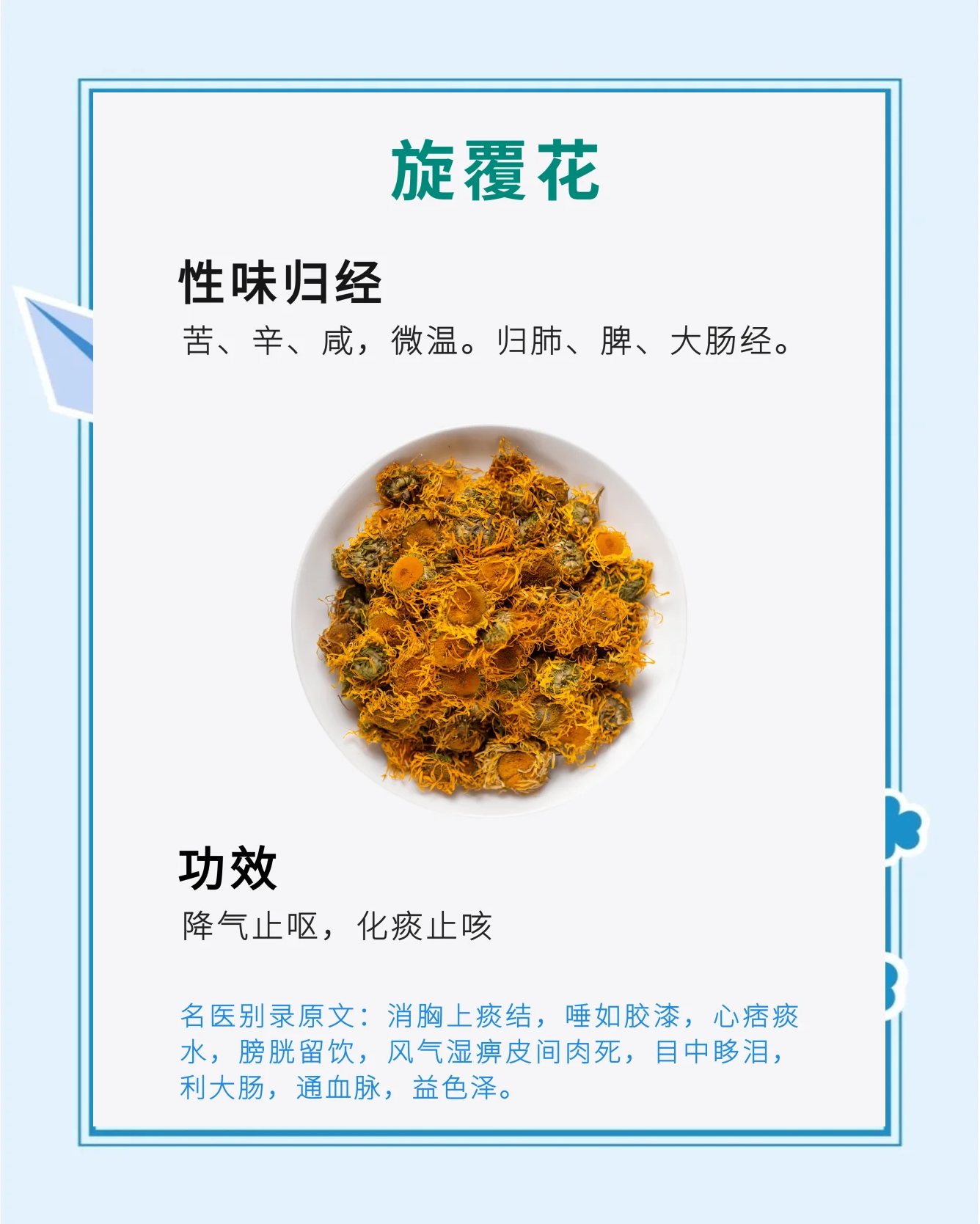 闷头花的功效与作用(闷头花的功效与作用图片)