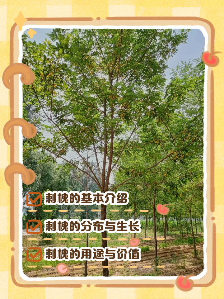 枯槐的意思解释(枯槐这个字怎么读) 枯槐的意思解释(枯槐这个字怎么读)