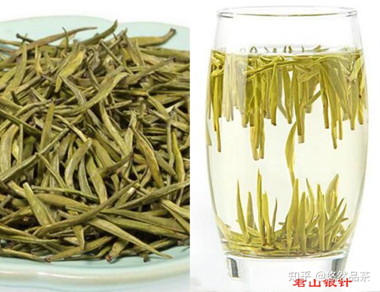 君山银针茶(君山银针茶叶多少钱一斤) 君山银针茶(君山银针茶叶多少钱一斤)