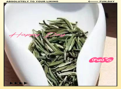 金山翠芽(镇江名茶金山翠芽)
