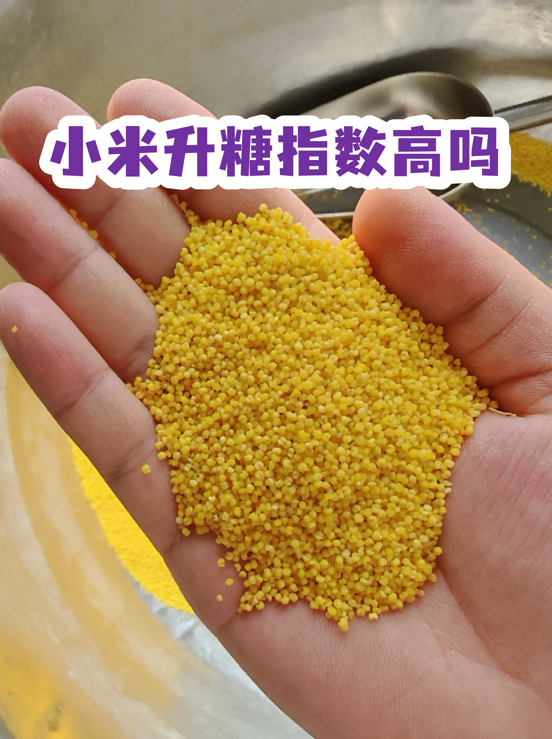小米可以蒸成米饭吗(哪款大米煮饭特别香特别好吃)
