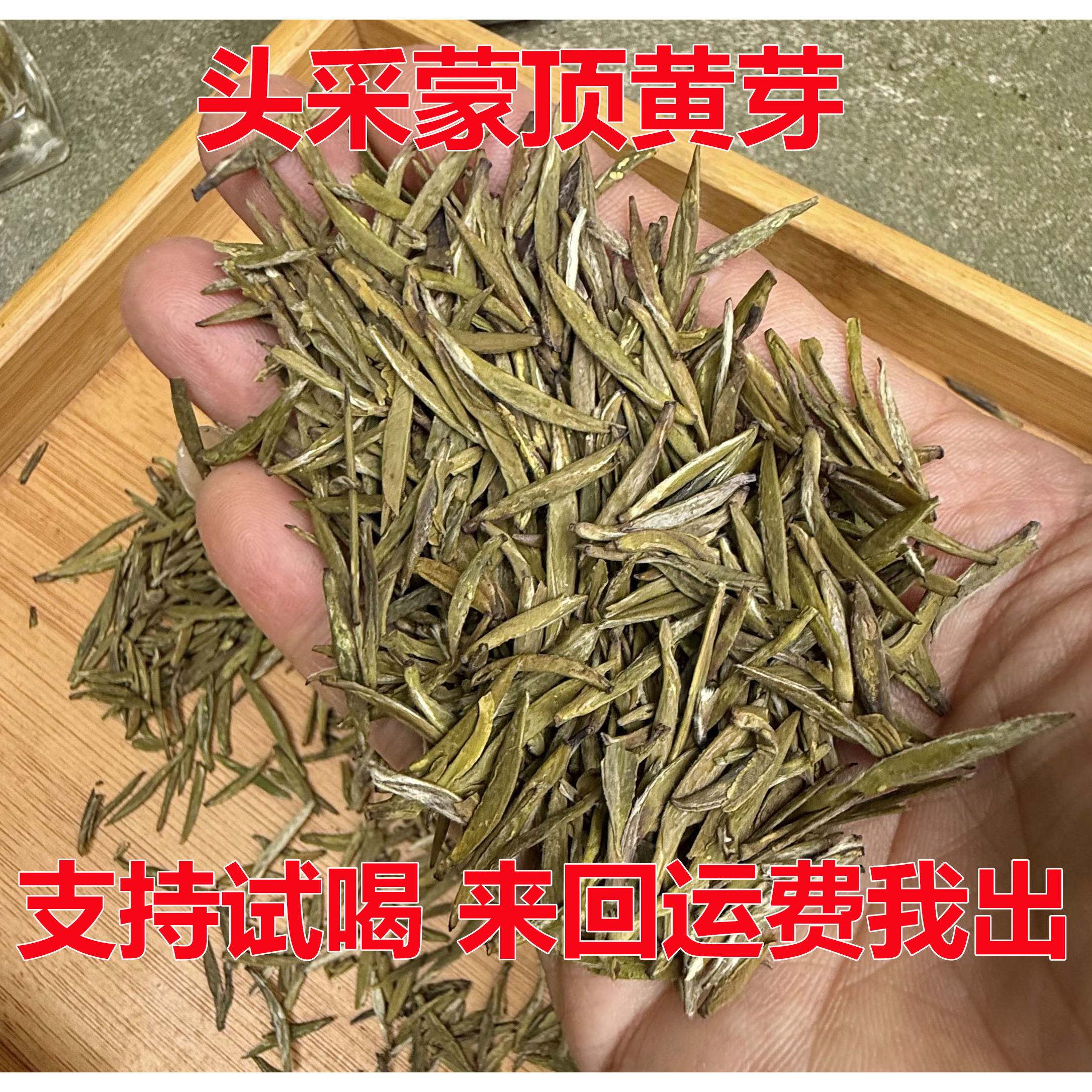 蒙顶黄芽是什么茶(蒙顶黄芽属于黄芽茶吗) 蒙顶黄芽是什么茶(蒙顶黄芽属于黄芽茶吗)