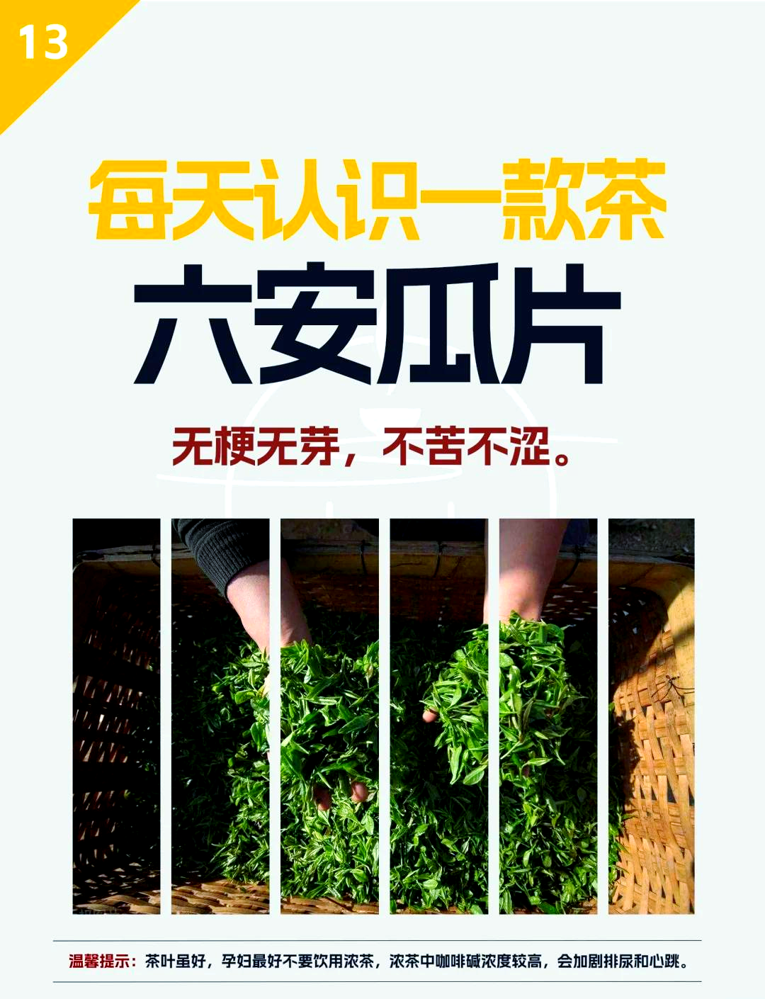 六安瓜片产地(六安瓜片产地分布图)