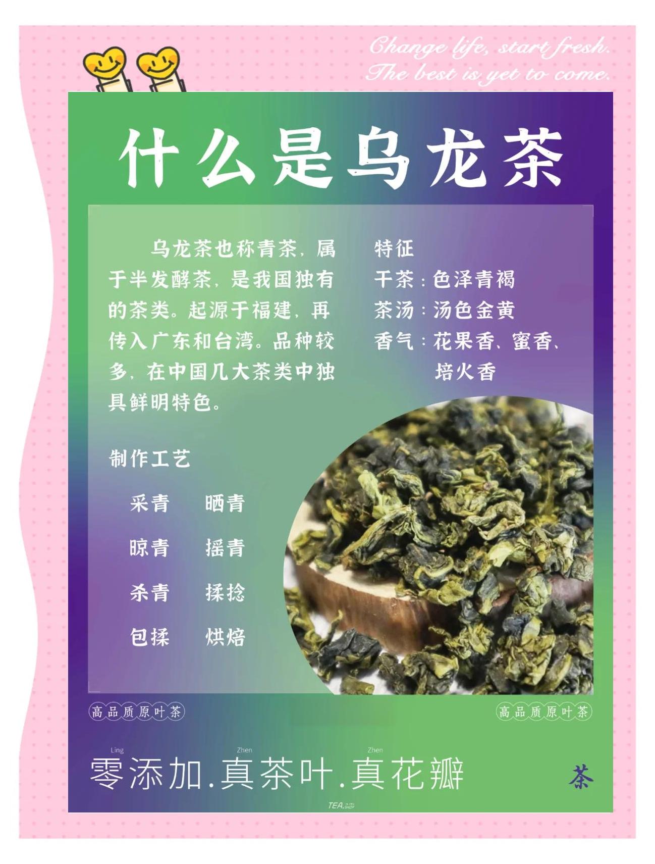 黑毛茶有什么功效(黑毛茶有什么功效?适合天天喝吗)