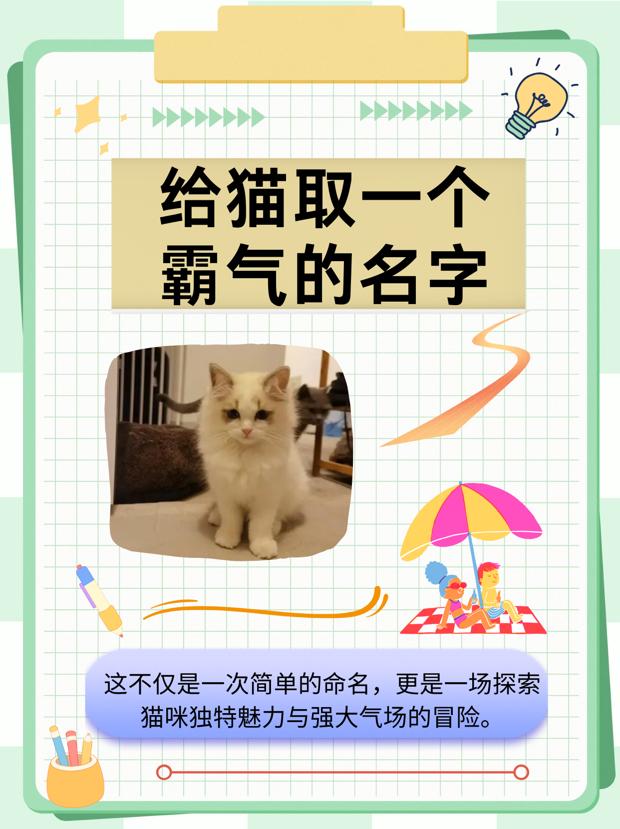 猫姓(猫姓氏怎么读) 猫姓(猫姓氏怎么读)