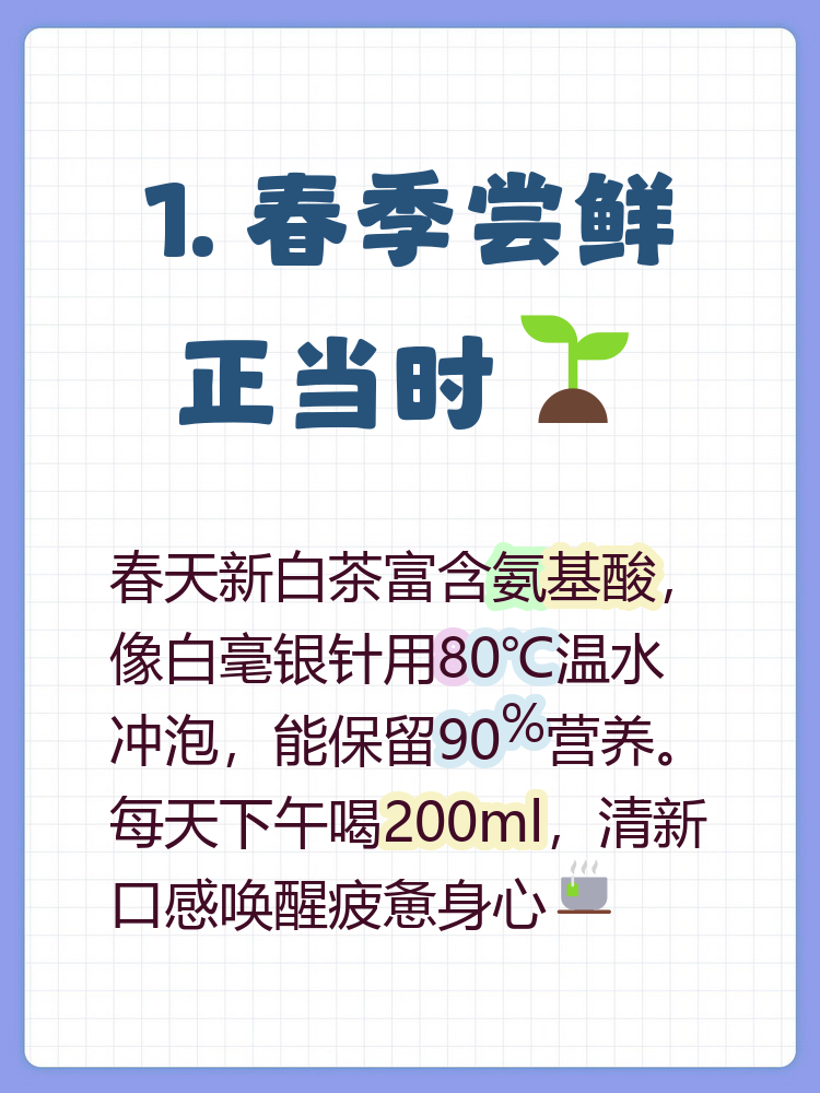 什么季节喝白茶(白茶怎么喝才是正确喝法) 什么季节喝白茶(白茶怎么喝才是正确喝法)