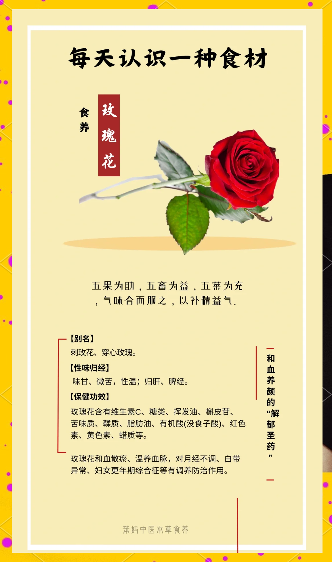 玫瑰花一次泡几朵合适(玫瑰花一次泡几朵合适,用多少度的水泡) 玫瑰花一次泡几朵合适(玫瑰花一次泡几朵合适,用多少度的水泡)