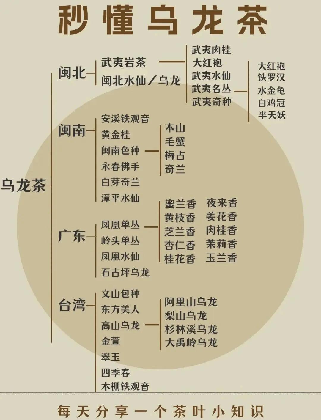 乌龙茶的功效与作用禁忌(乌龙茶的功效与作用禁忌及食用方法)