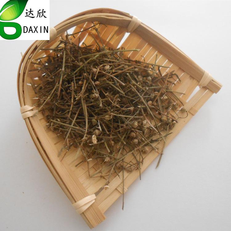 白花蛇七层透骨贴(白花蛇七层透骨贴广告) 白花蛇七层透骨贴(白花蛇七层透骨贴广告)