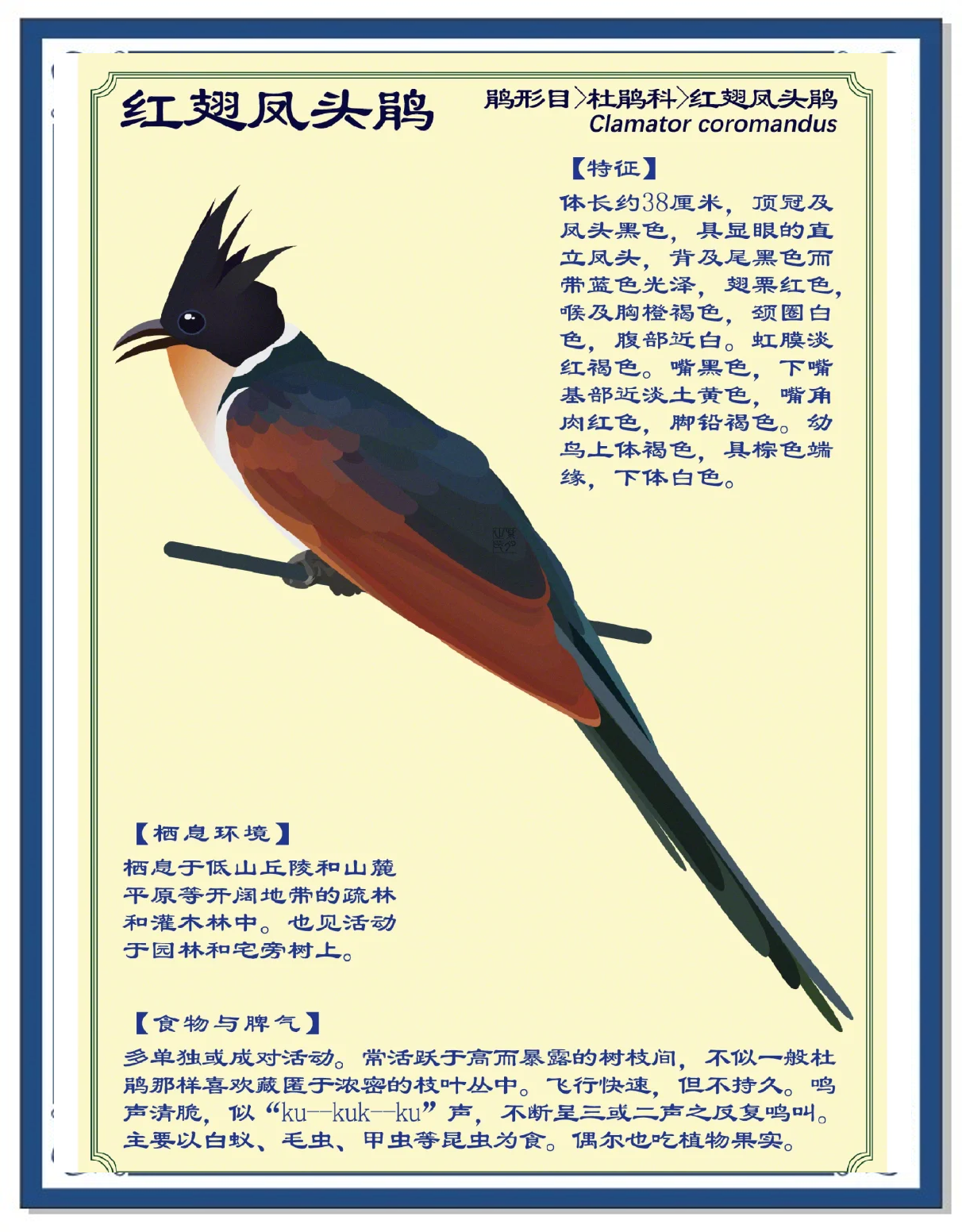 鹃部首(鹃部首组词) 鹃部首(鹃部首组词)
