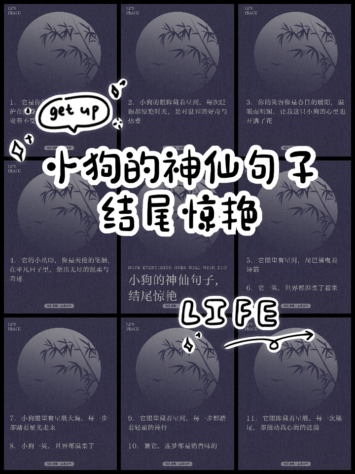 用哈巴狗造句子(用哈巴狗造句子,四年级,下册) 用哈巴狗造句子(用哈巴狗造句子,四年级,下册)