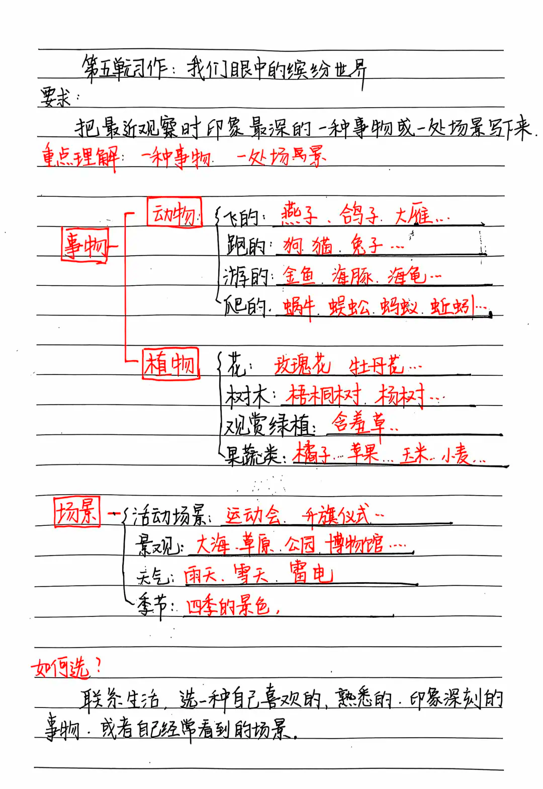 五彩缤纷造句(五彩缤纷造句简单一点) 五彩缤纷造句(五彩缤纷造句简单一点)