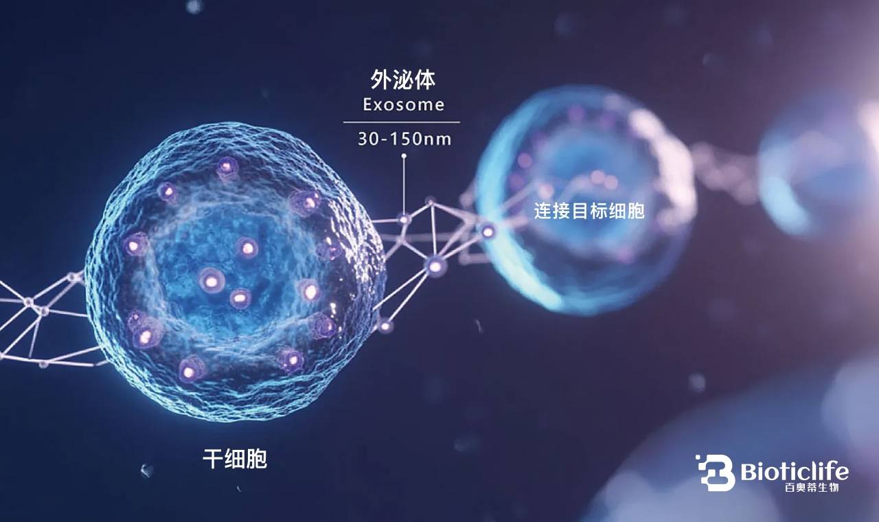 泌(泌园春) 泌(泌园春)