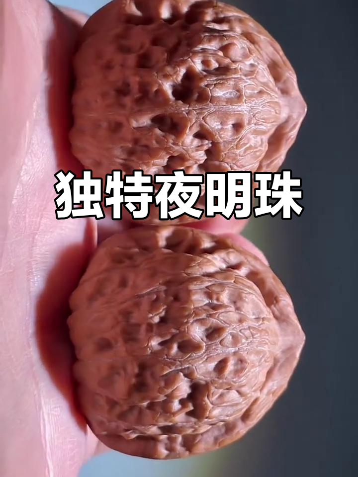 天然夜明珠(天然夜明珠是怎么形成的) 天然夜明珠(天然夜明珠是怎么形成的)