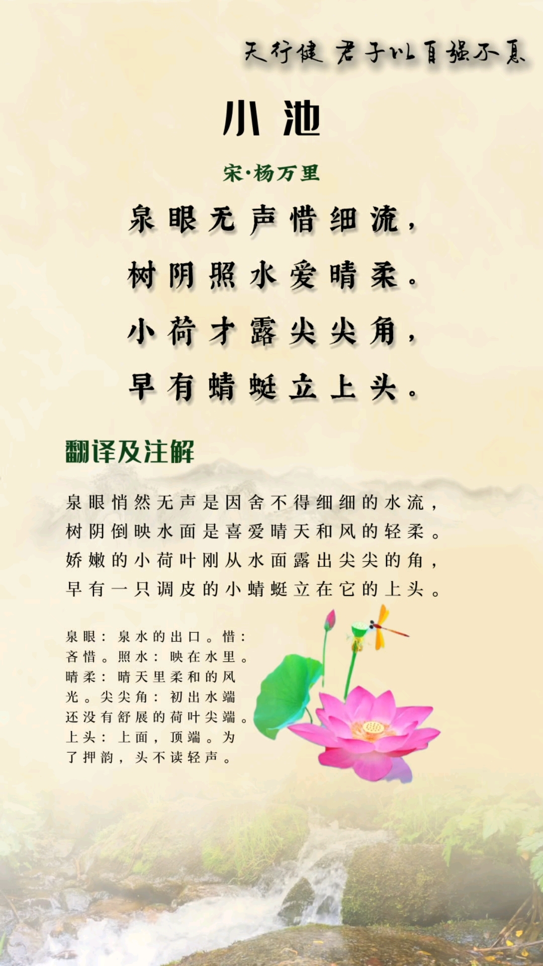 蜻蜓点水造句(蜻蜓点水造句子) 蜻蜓点水造句(蜻蜓点水造句子)