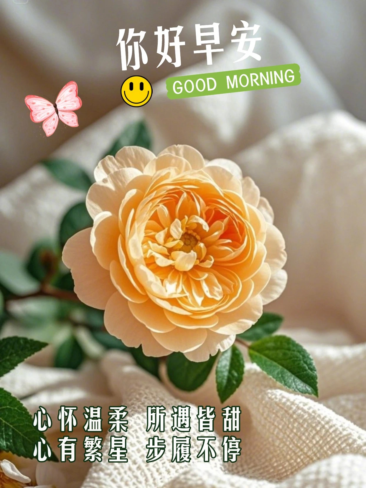 如意的舒心小日子(如意的舒心小日子) 如意的舒心小日子(如意的舒心小日子)