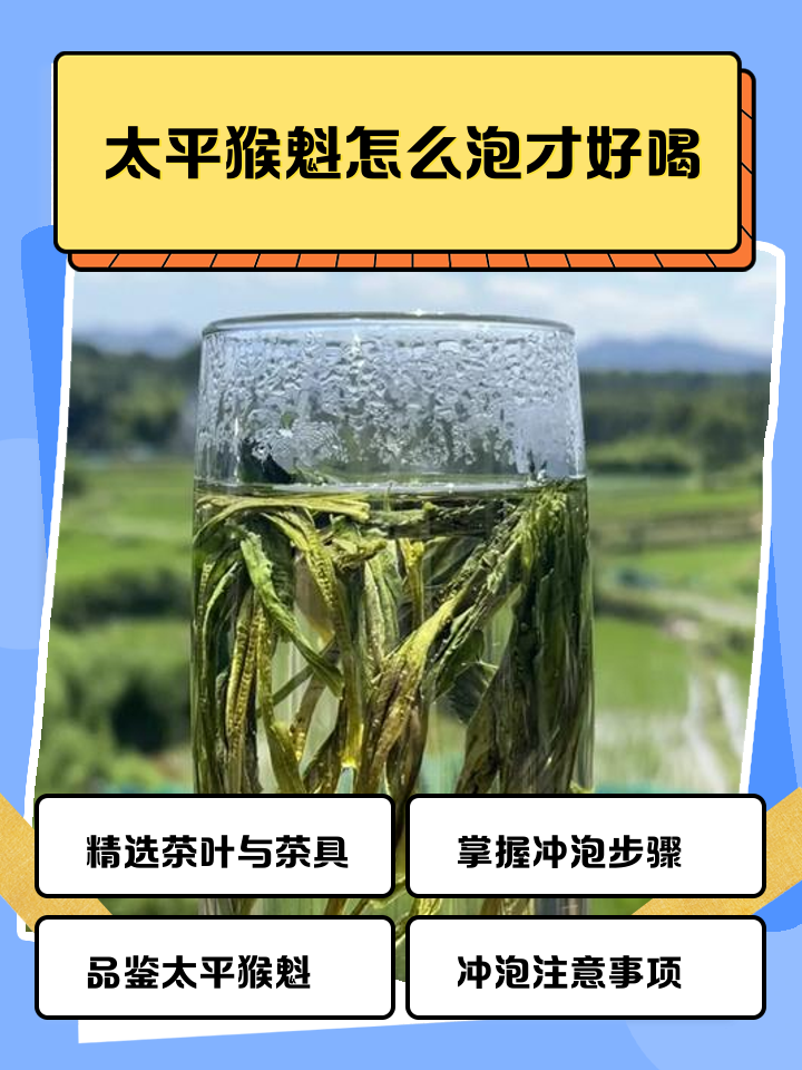 太平猴魁为什么是禁茶(太平猴魁为什么产量较少) 太平猴魁为什么是禁茶(太平猴魁为什么产量较少)