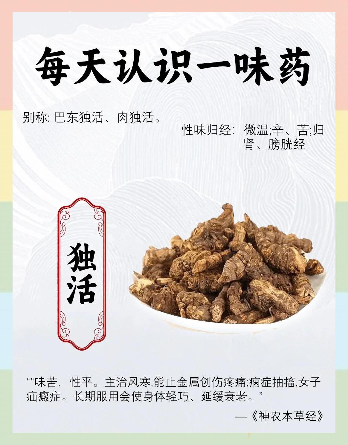 普鲁本辛的功效与作用(普鲁本辛的功效与作用有什么副作用) 普鲁本辛的功效与作用(普鲁本辛的功效与作用有什么副作用)