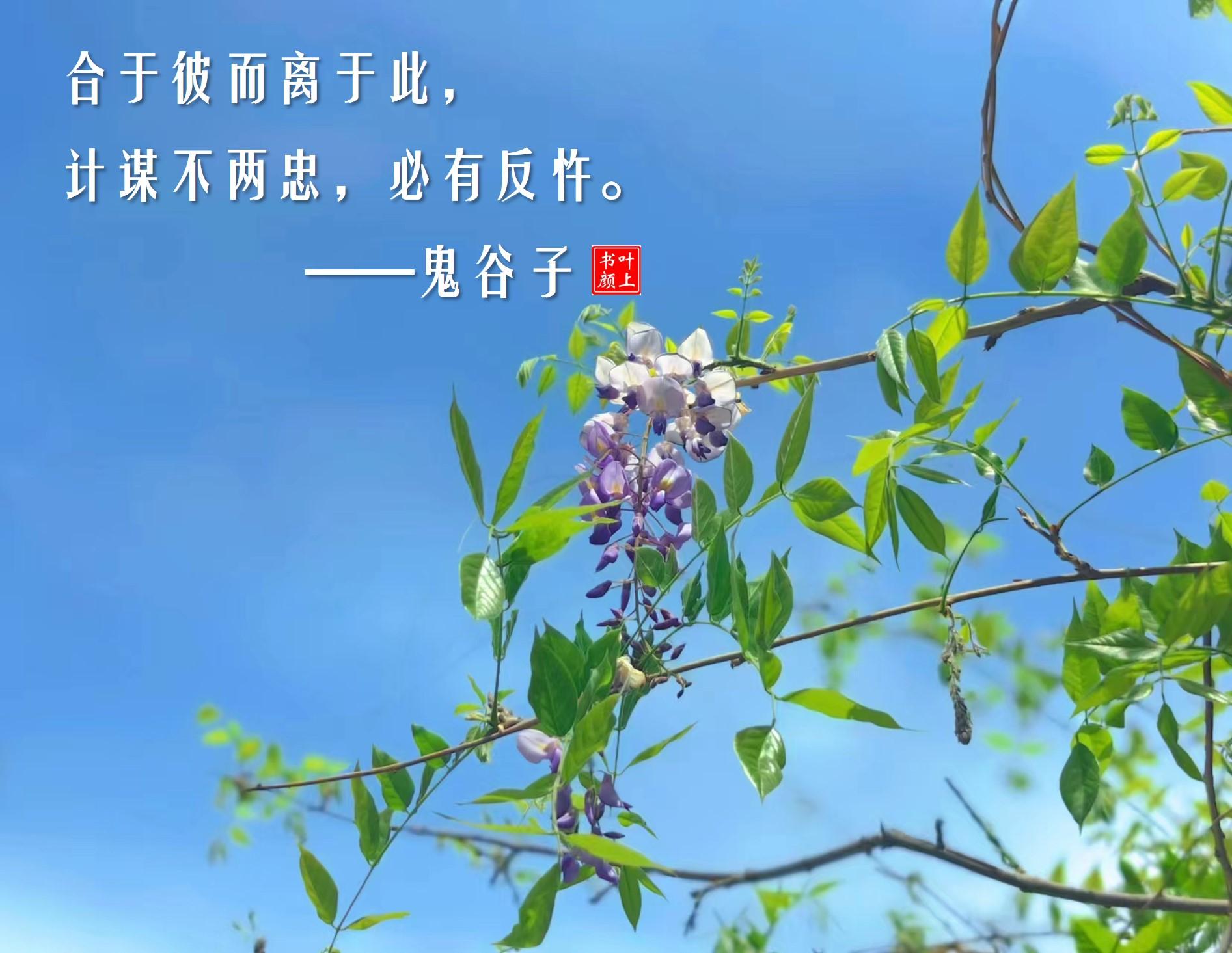 忤(忤作) 忤(忤作)